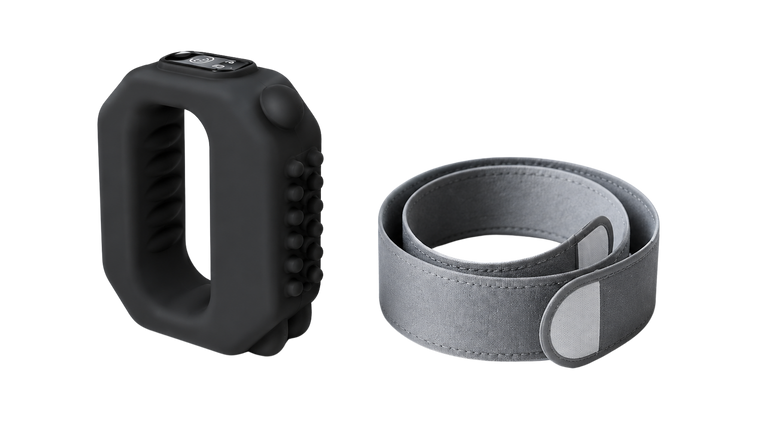 Ready to Try <em>CorePulse?</em>